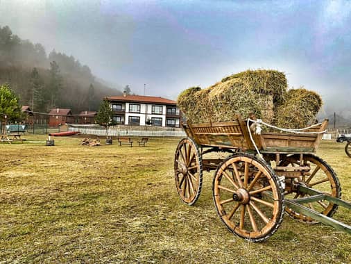 Mengen Rüya Çiftliği